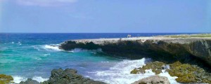 a picture of boca druif