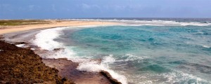 a picture of boca grandi