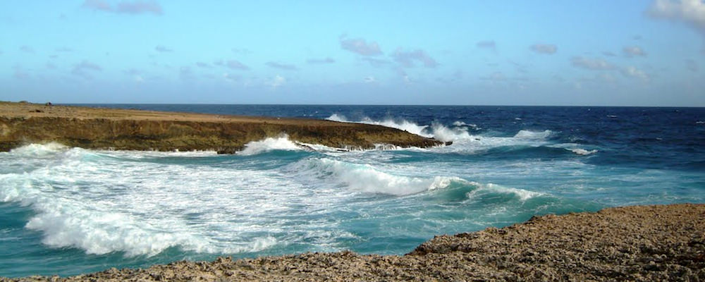 a picture of daimari beach aruba