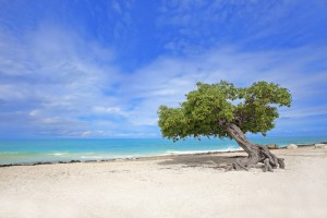 a picture of eagle beach aruba