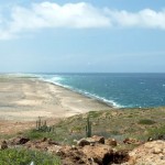 a picture of grapefield beach