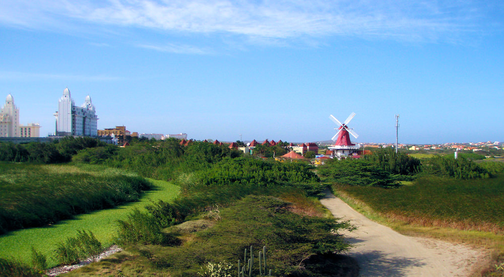 a view from the bubali bird sanctuary in aruba