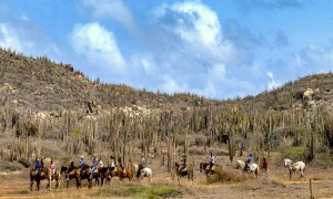 a picture of people going horseback riding in aruba