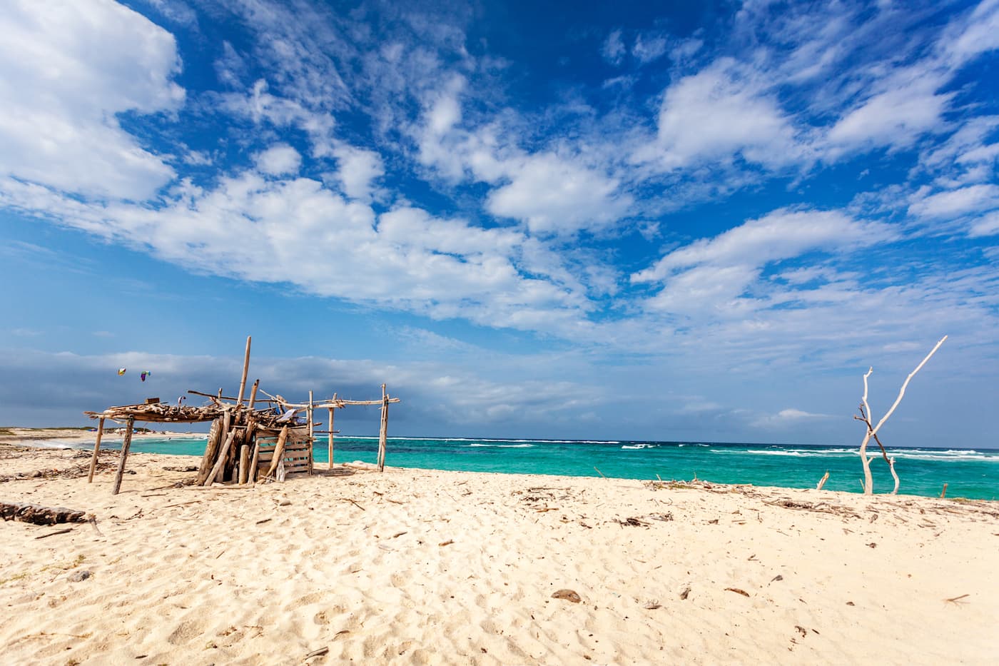 Aruba's Boca Grandi beach, on the east side of the island where kite surfing is a favorite pastime.