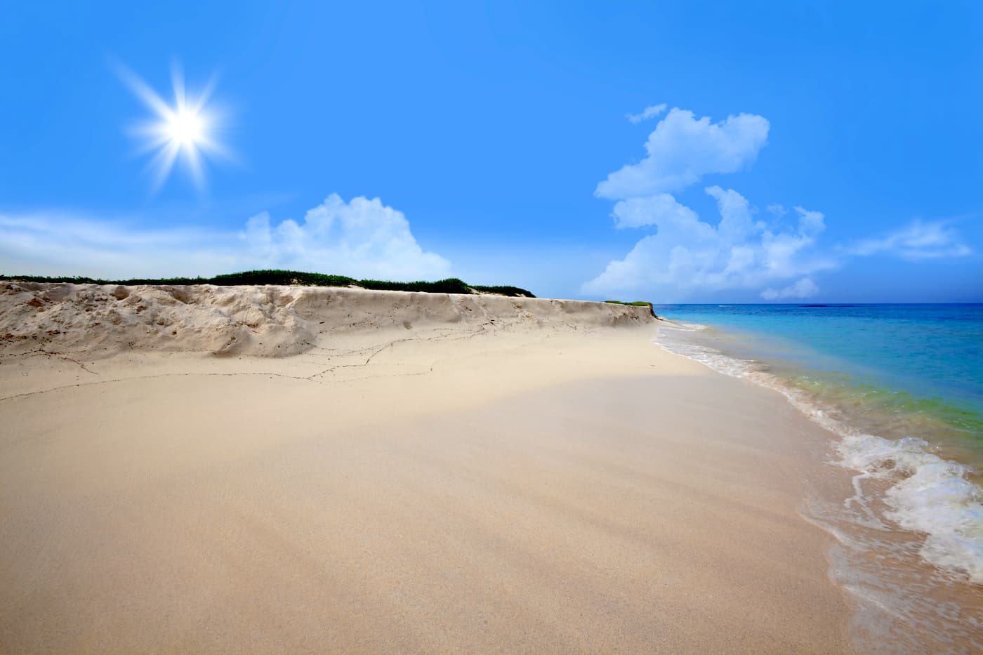 Grapefield Beach 🏖️Beaches of Aruba