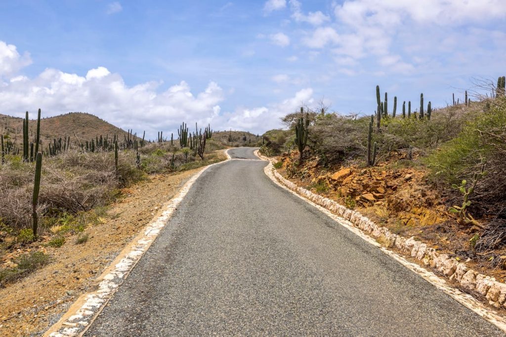 a winding road leading you through Arikok National Park in Aruba, Dutch Caribbean.